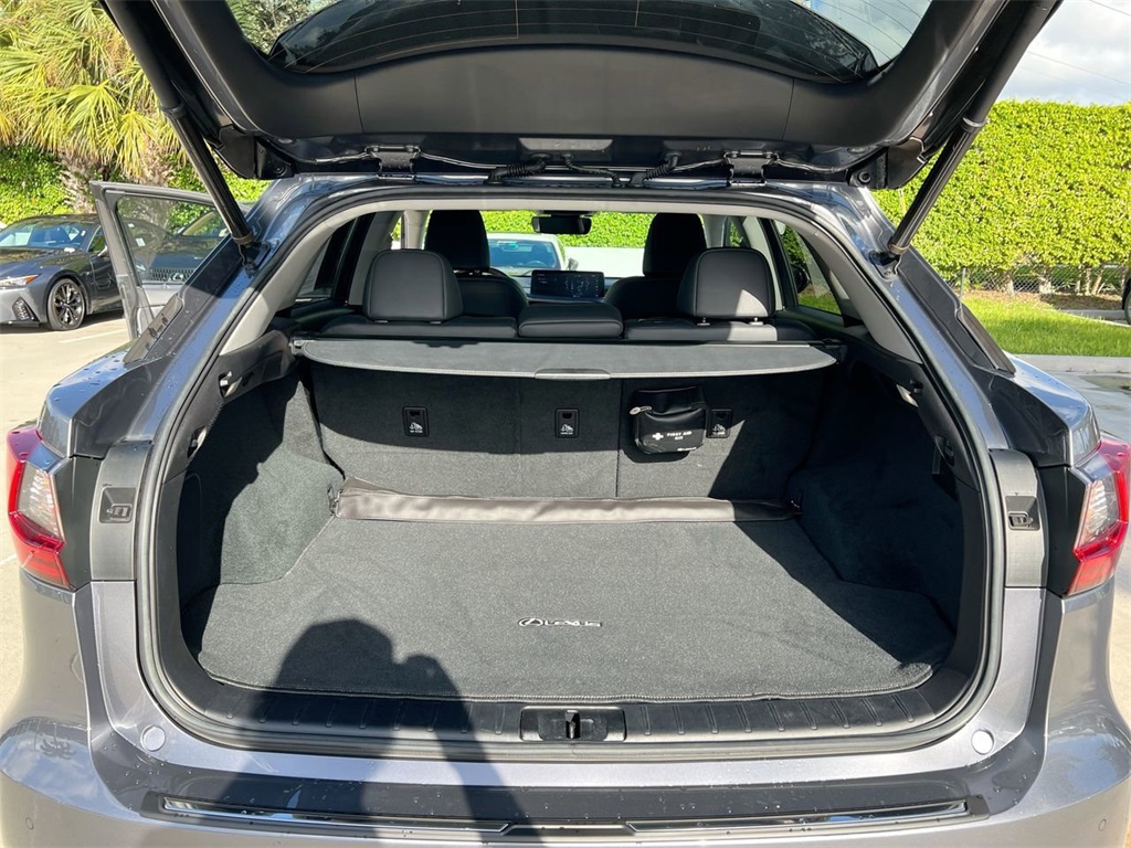 2021 Lexus RX 350 photo 22