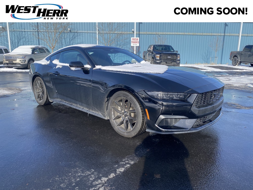 2025 Ford Mustang EcoBoost's photo