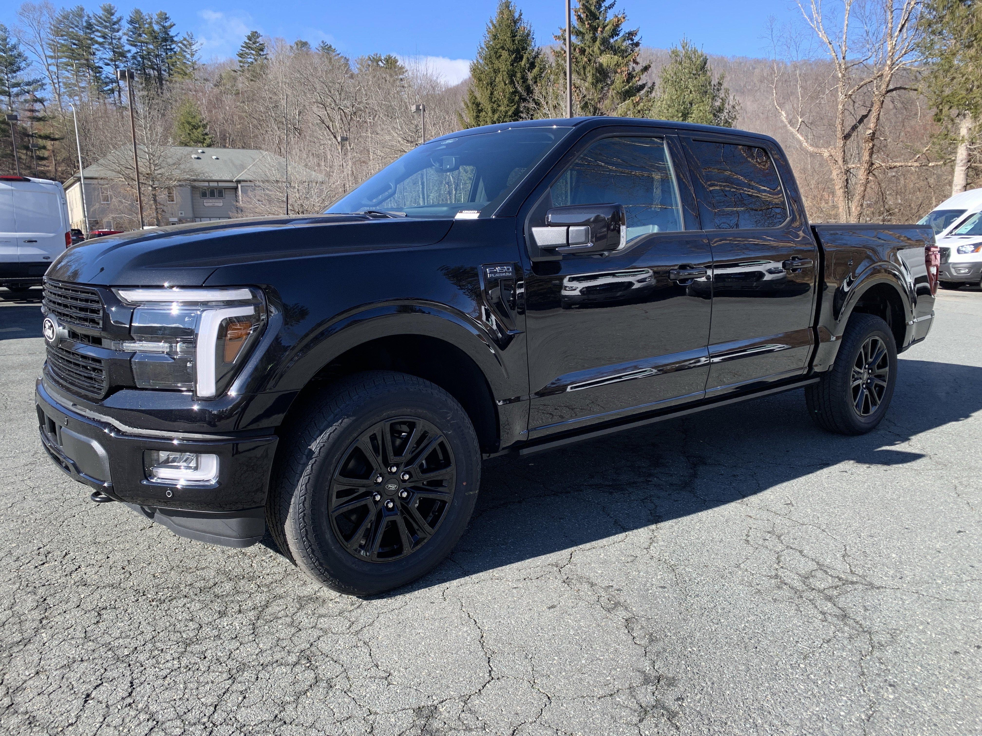 2025 Ford F-150 Platinum's photo