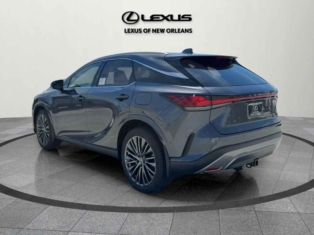 2025 Lexus RX 350 Luxury photo 5