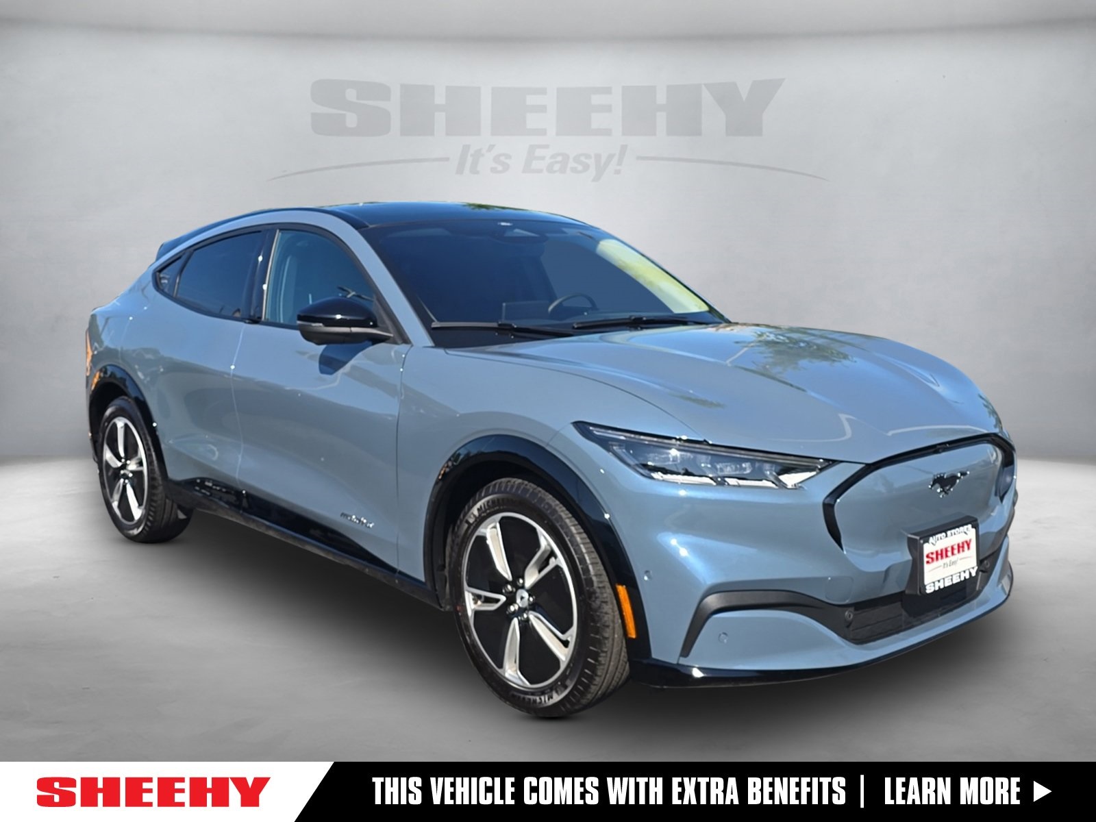 Certified 2023 Ford Mustang Mach-E Premium RWD with VIN 3FMTK3R48PMA60853 for sale in Ashland, VA