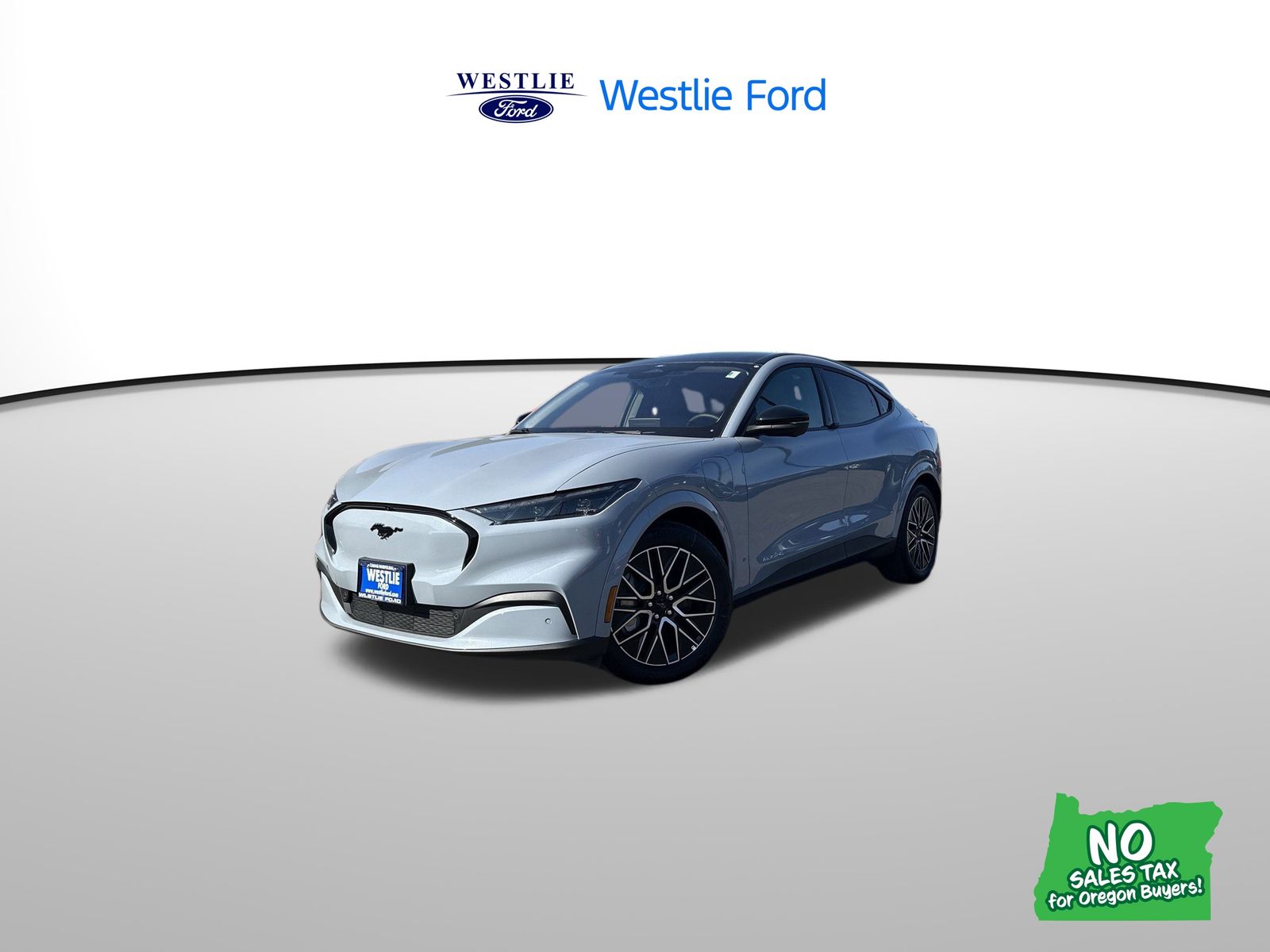 2025 Ford Mustang Mach-E Premium AWD's photo