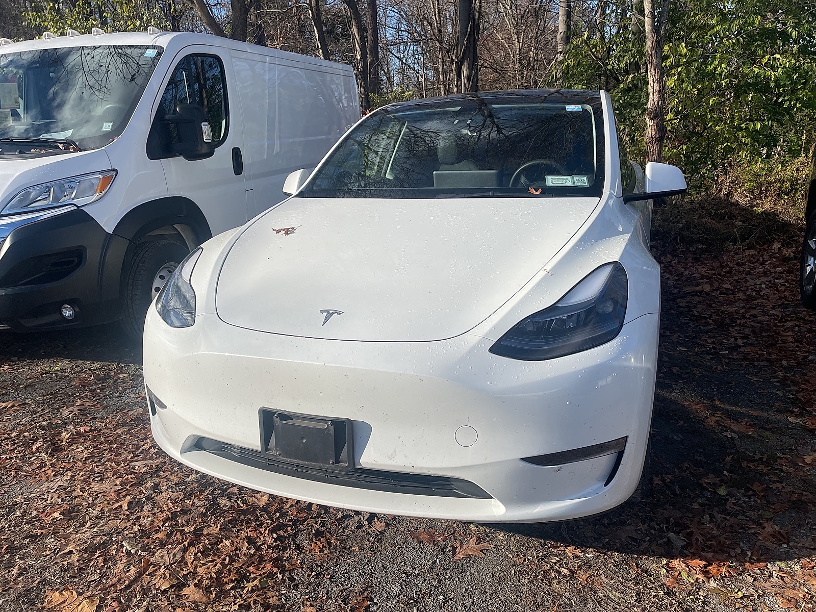 2023 Tesla Model Y Long Range's photo