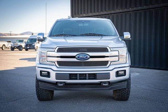 2019 Ford F-150 Platinum photo 3