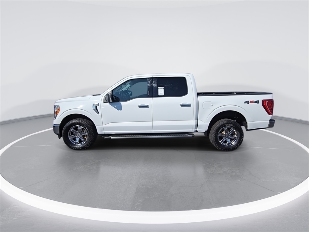 2023 Ford F-150 XLT photo 6