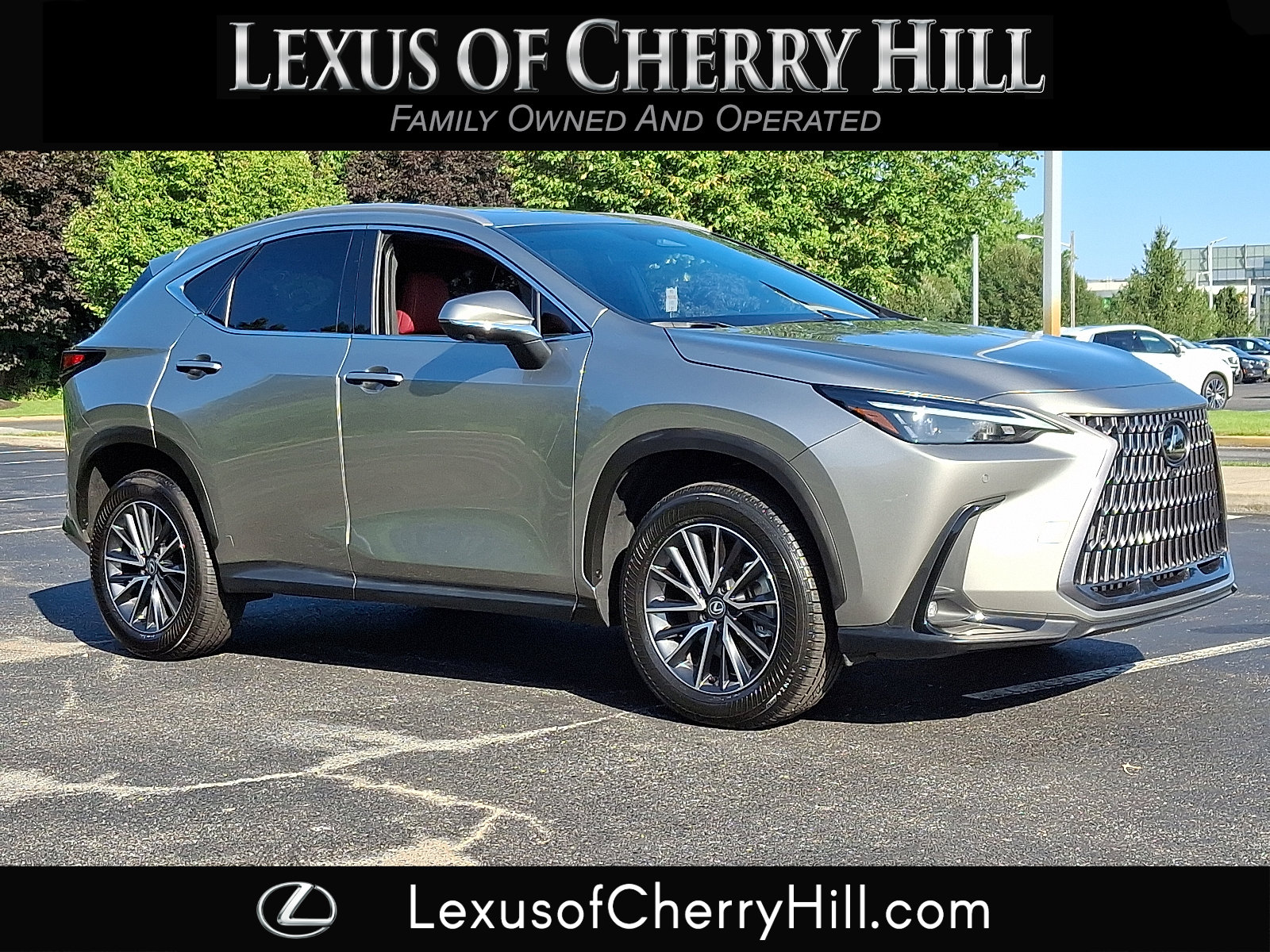 2025 Lexus NX