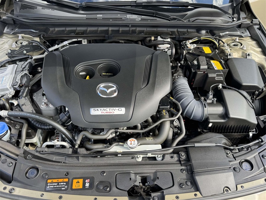 2025 Mazda Mazda3 2.5 Carbon Turbo photo 13