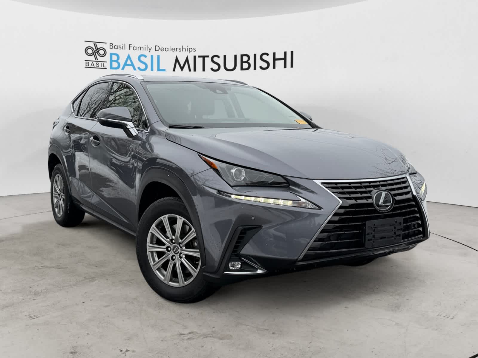 2020 Lexus NX 300's photo