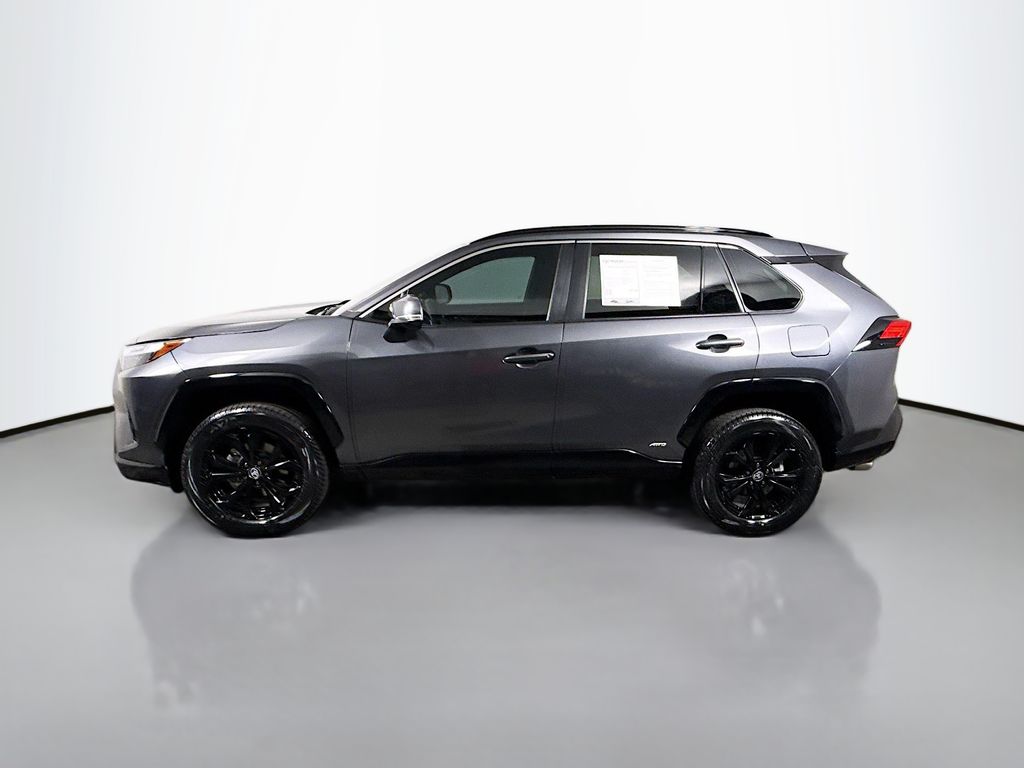 2023 Toyota RAV4 Hybrid SE photo 4