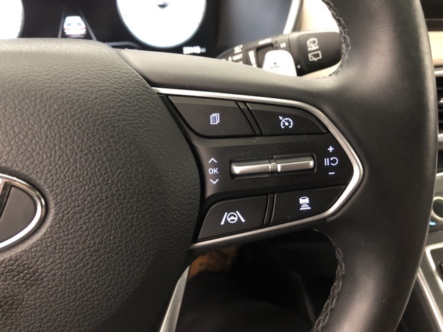 2022 Hyundai Santa Fe Limited photo 14