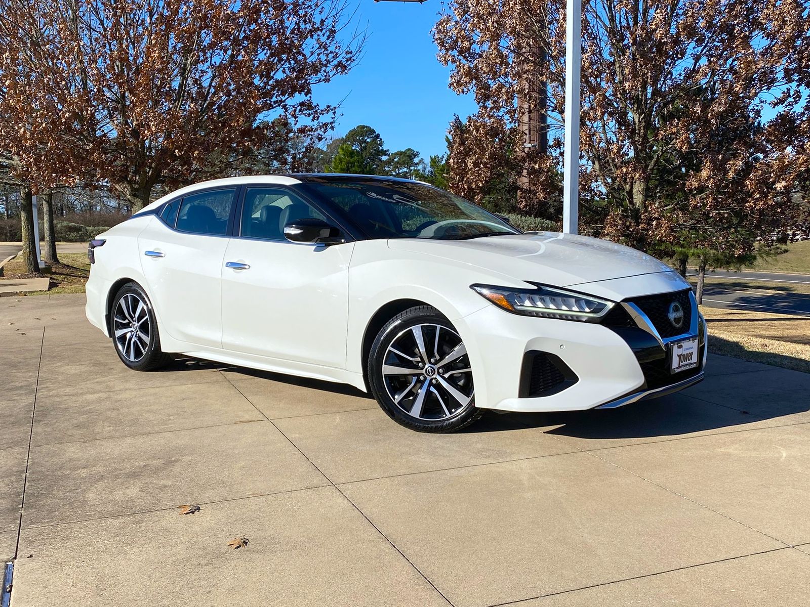 2023 Nissan Maxima SL's photo