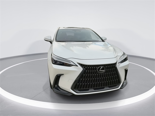 2023 Lexus NX 350h photo 3