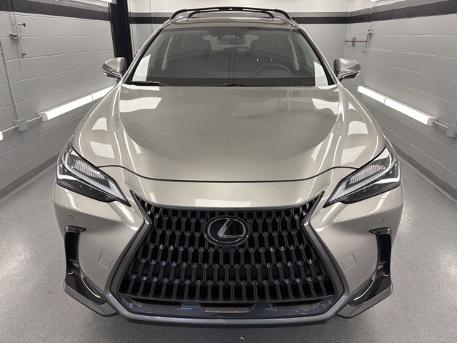 2025 Lexus NX Premium photo 2