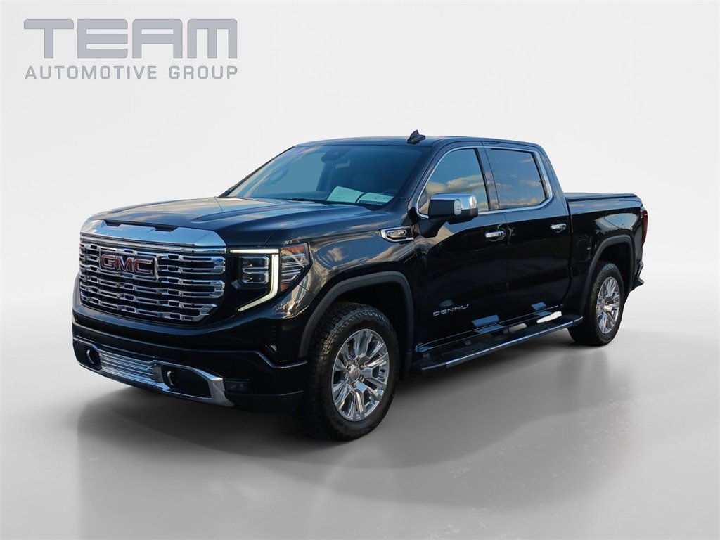 2022 Gmc Sierra 1500 Denali photo 3