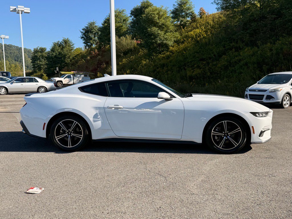2024 Ford Mustang EcoBoost Premium photo 6