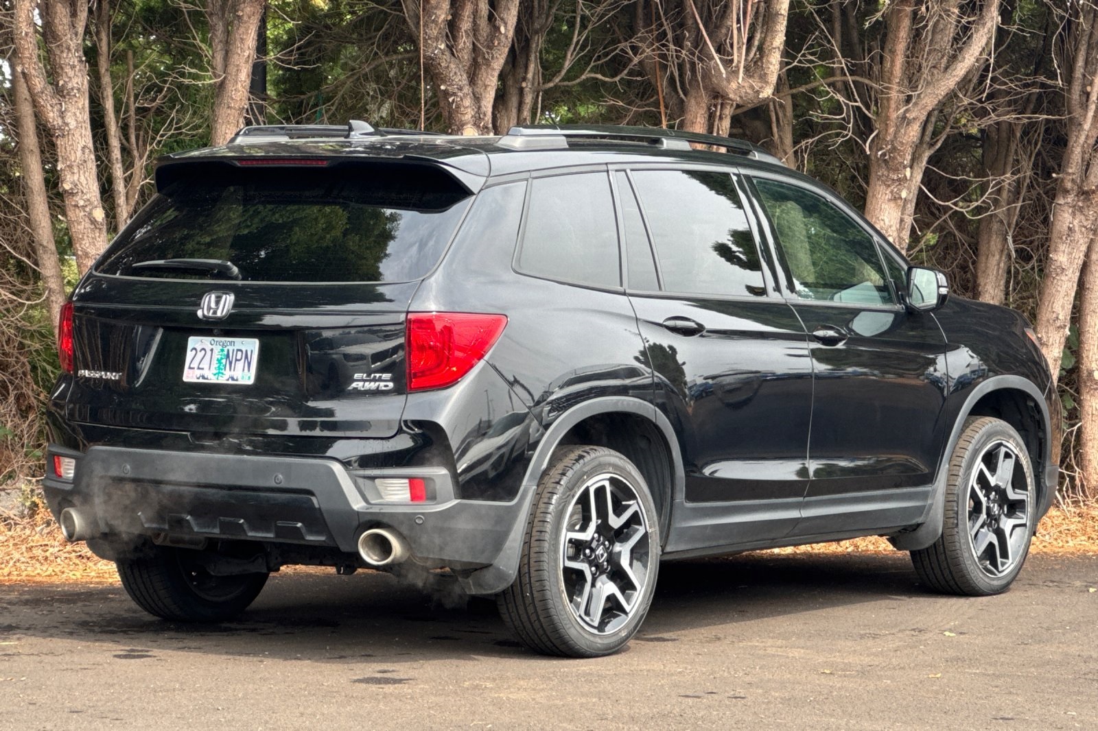 2022 Honda Passport Elite photo 4