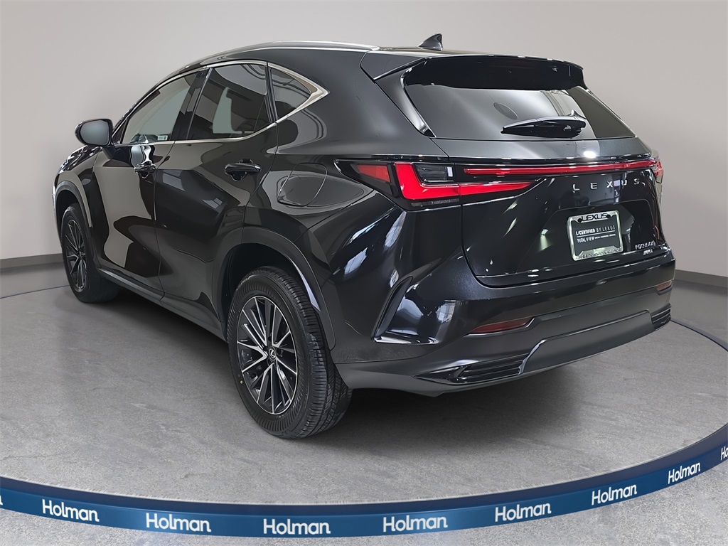 2024 Lexus NX 350h photo 7