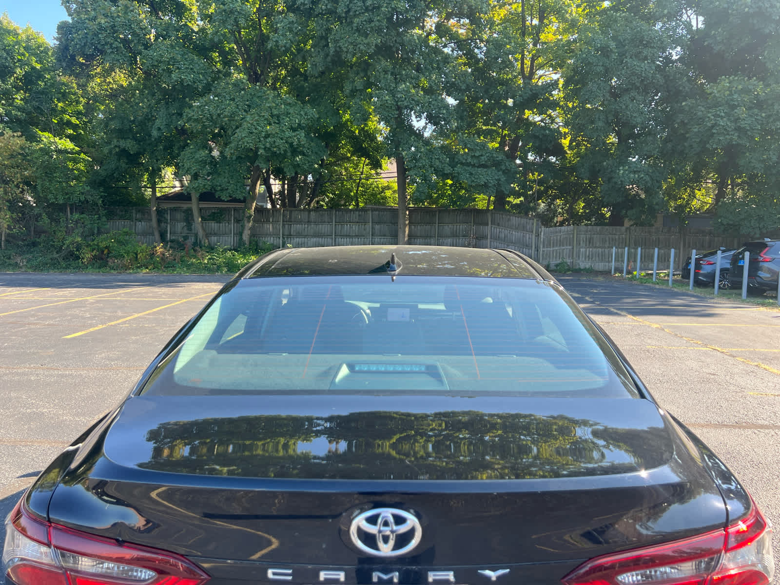2023 Toyota Camry LE photo 4