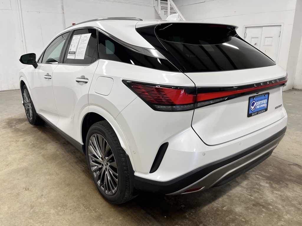 2023 Lexus RX 350 Luxury photo 5