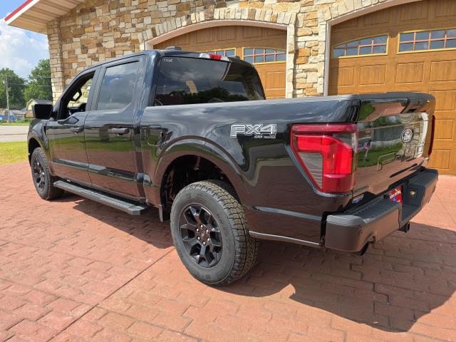 2025 Ford F-150 STX photo 5