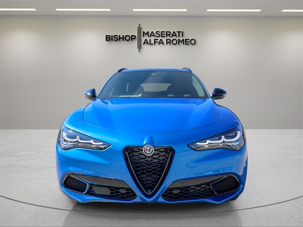 2025 Alfa Romeo Stelvio Base photo 2