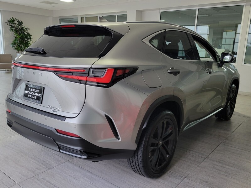 2024 Lexus NX Luxury AWD photo 6