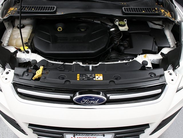 2013 Ford Escape SEL photo 28
