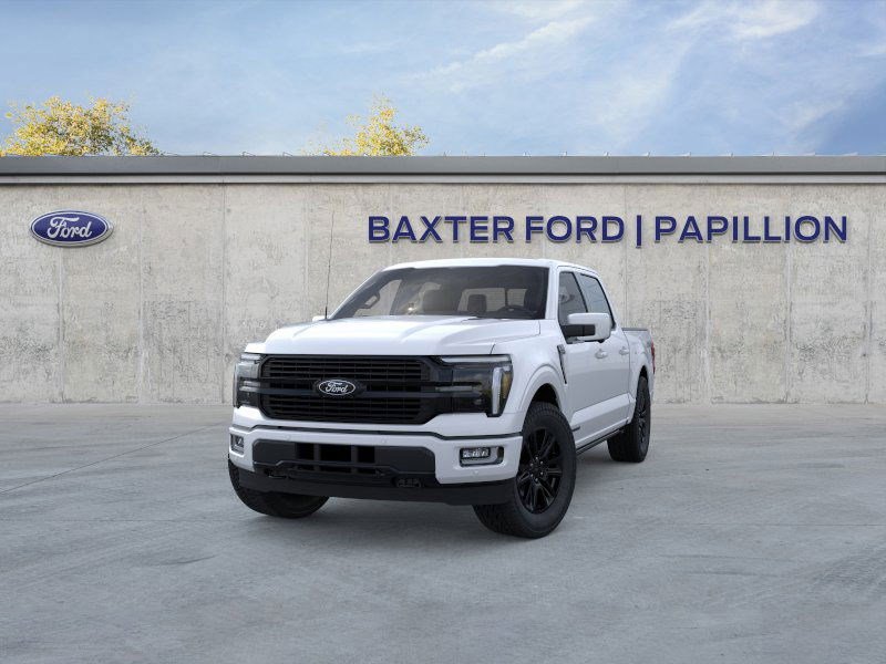 2025 Ford F-150 Platinum photo 17