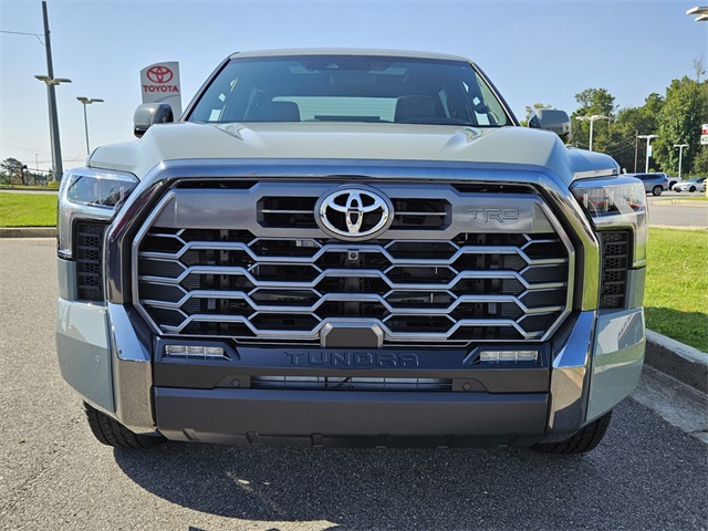 2025 Toyota Tundra Platinum CrewMax photo 2