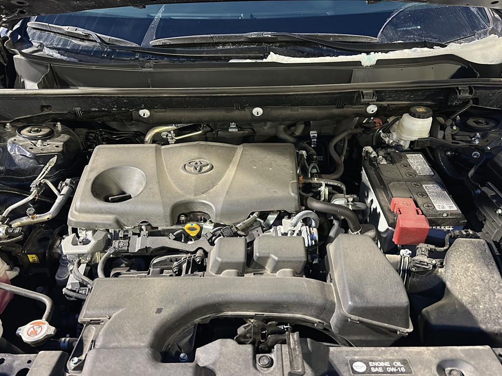 Used 2025 Toyota RAV4 XLE with VIN 2T3P1RFV8SW508301 for sale in Winona, Minnesota