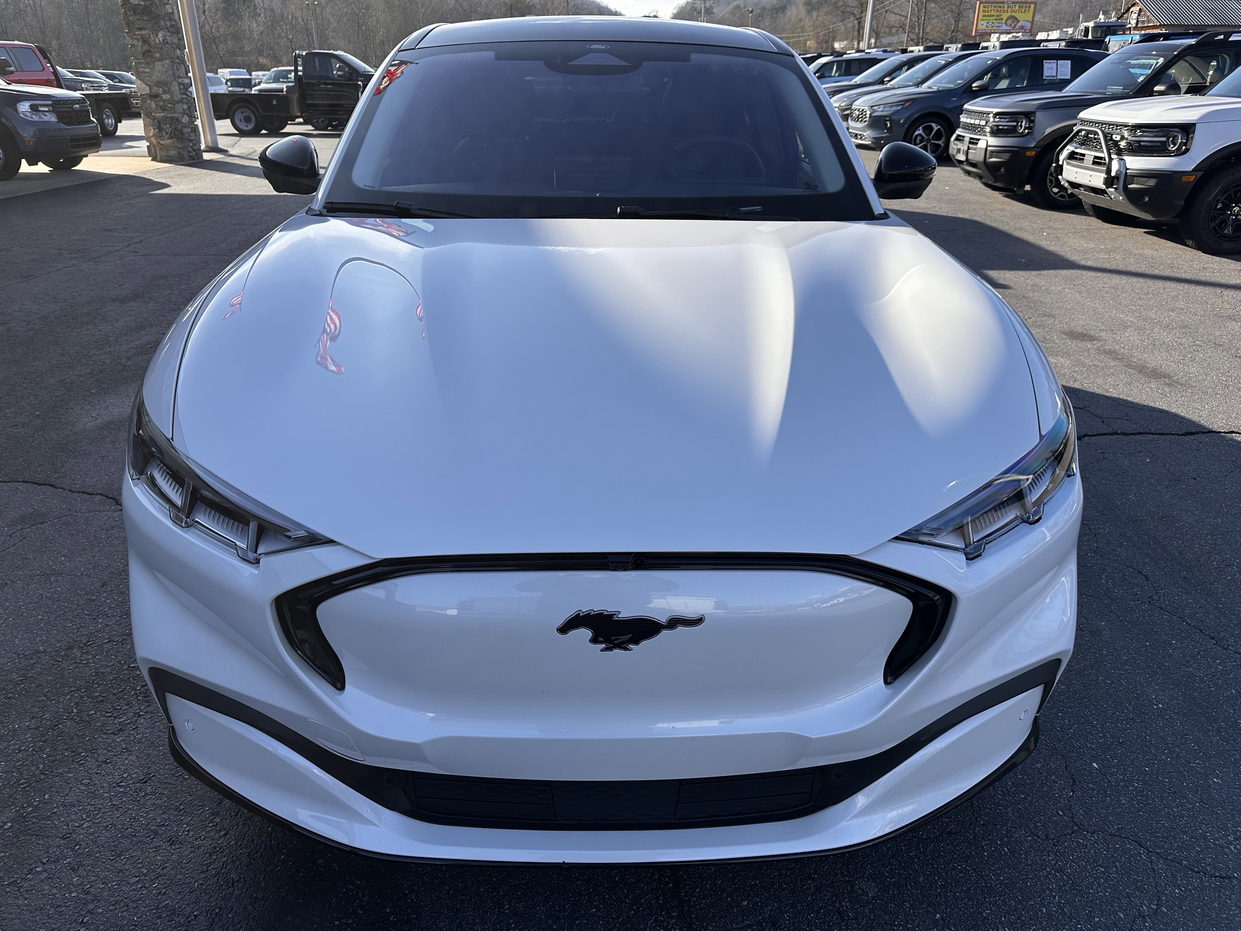 Used 2021 Ford Mustang Mach-E Premium AWD with VIN 3FMTK3SU8MMA10170 for sale in Hayesville, NC