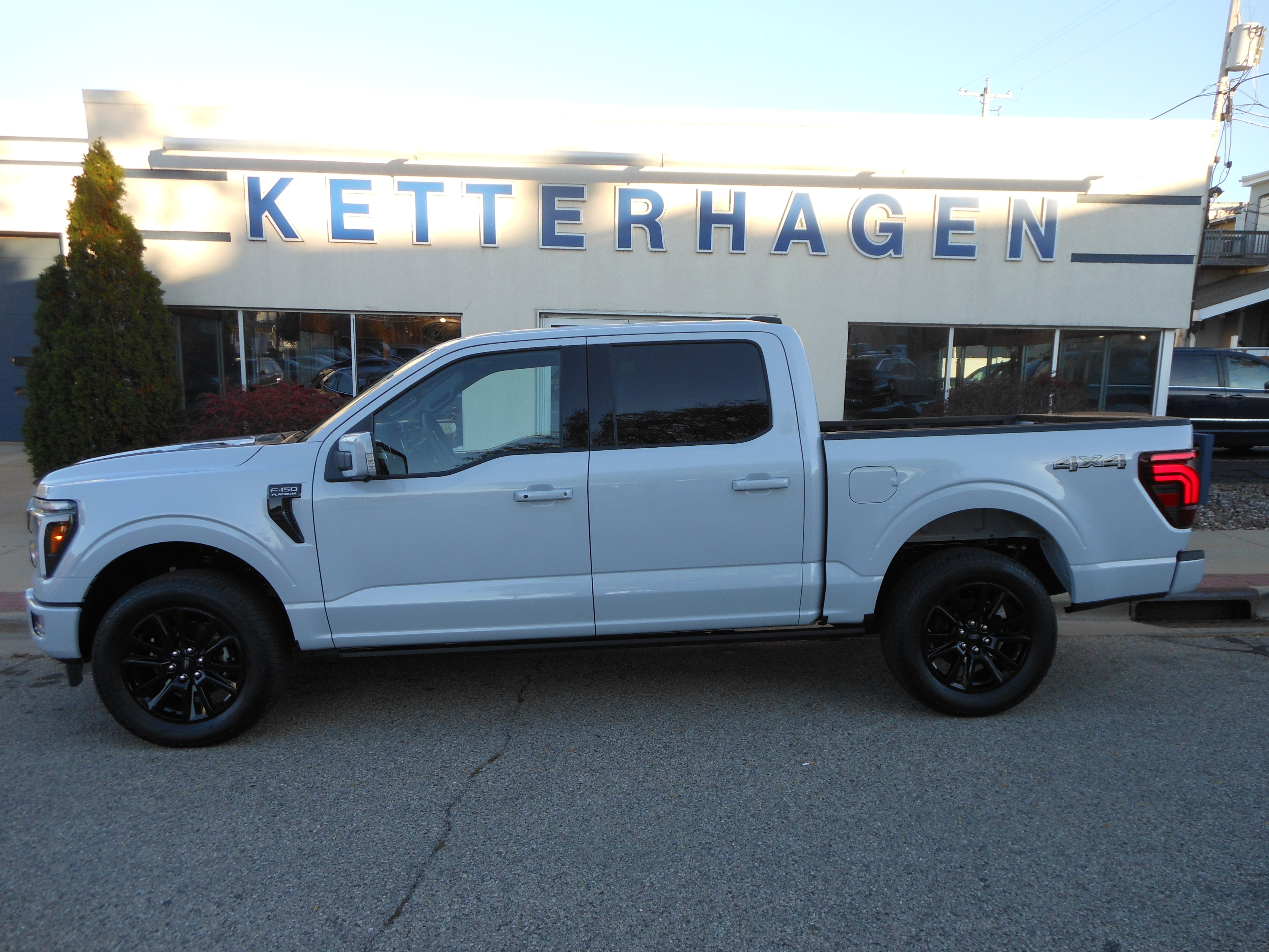 2025 Ford F-150 Platinum's photo