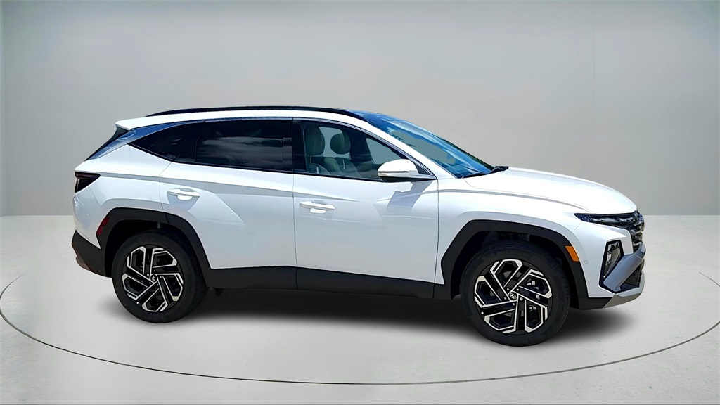 2025 Hyundai Tucson Hybrid Limited photo 13