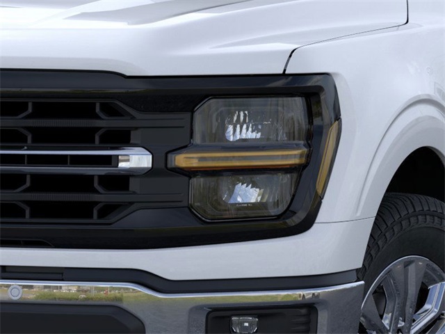 2025 Ford F-150 XLT photo 18