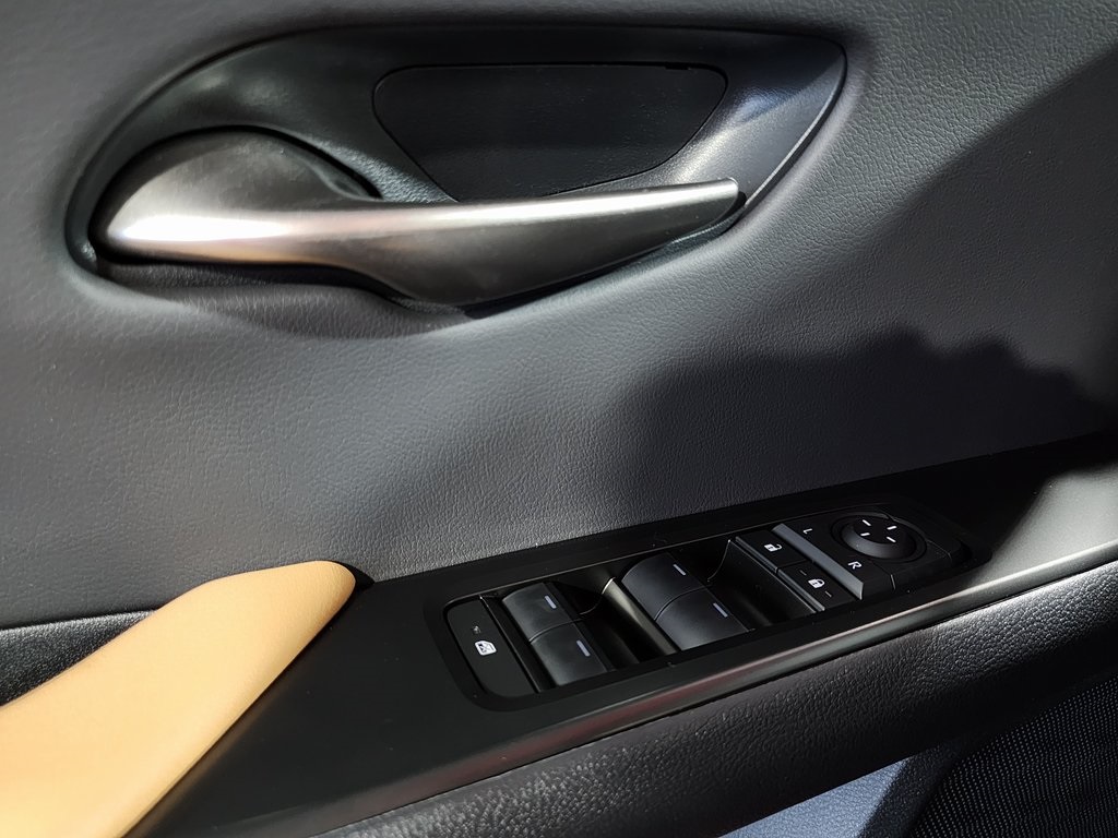 2025 Lexus UX photo 10
