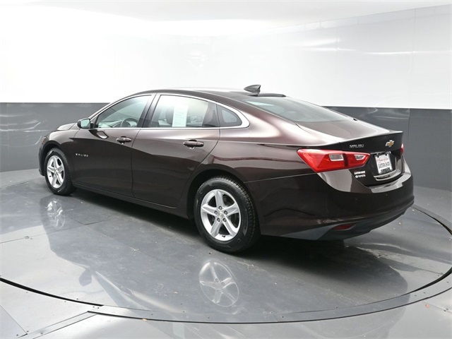 2021 Chevrolet Malibu LS photo 4