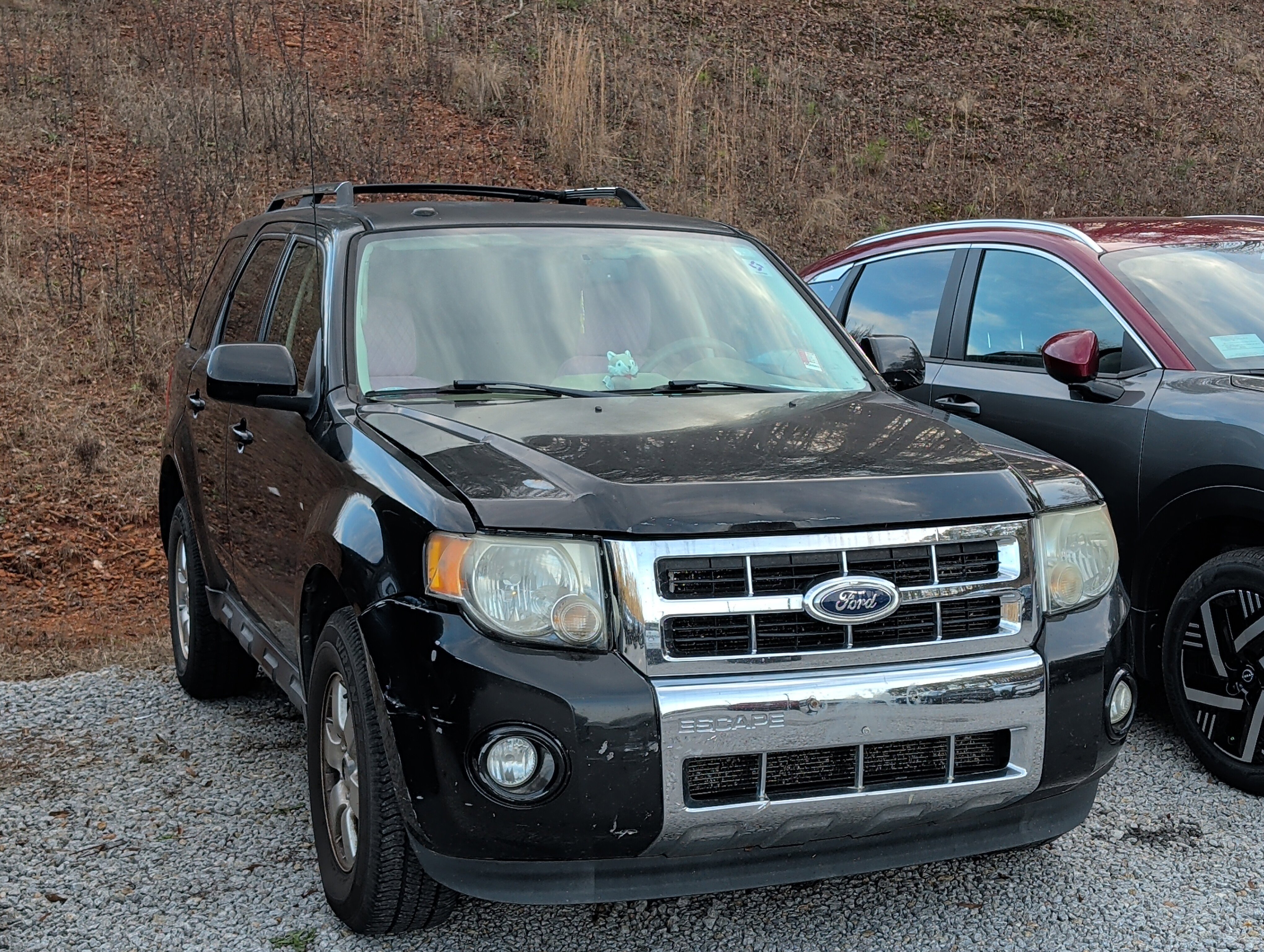 2011 Ford Escape Limited's photo