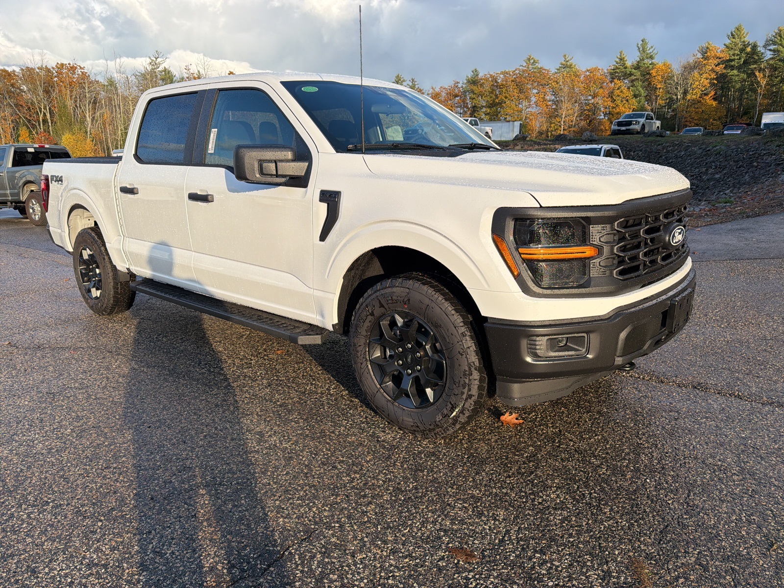 2025 Ford F-150 STX's photo