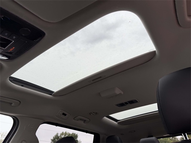 2026 Kia Carnival SX photo 3