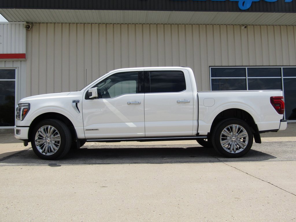 2024 Ford F-150 Platinum photo 9