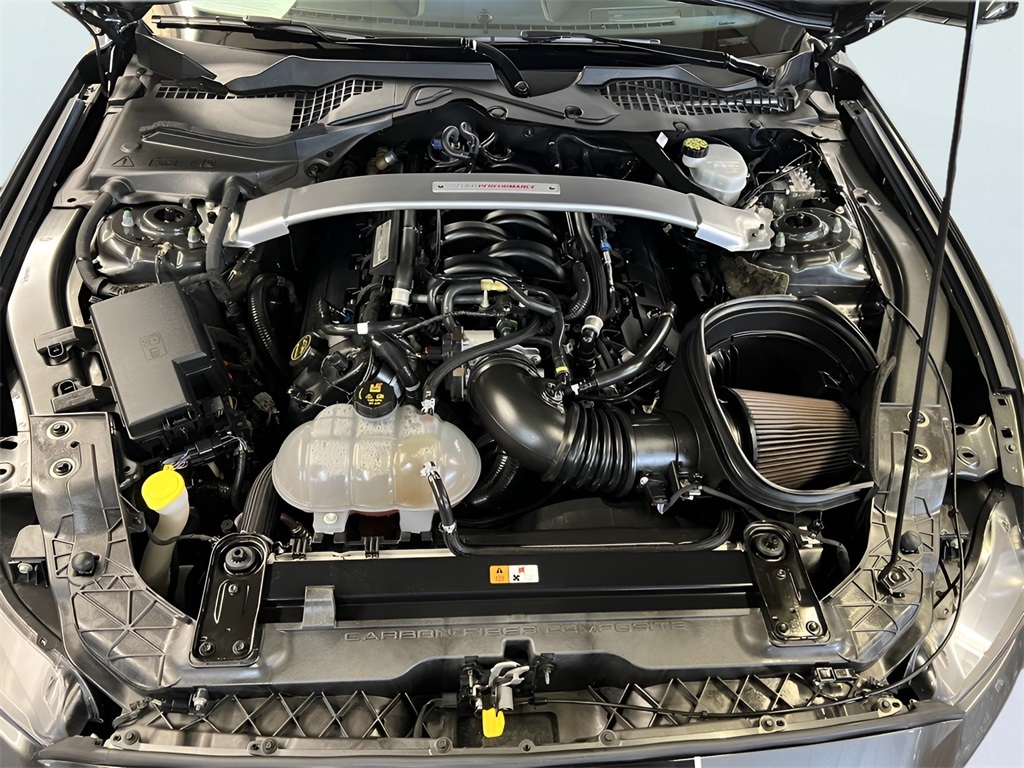 2017 Ford Mustang Shelby GT350 photo 26