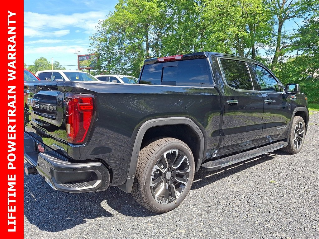2025 Gmc Sierra 1500 Denali photo 3