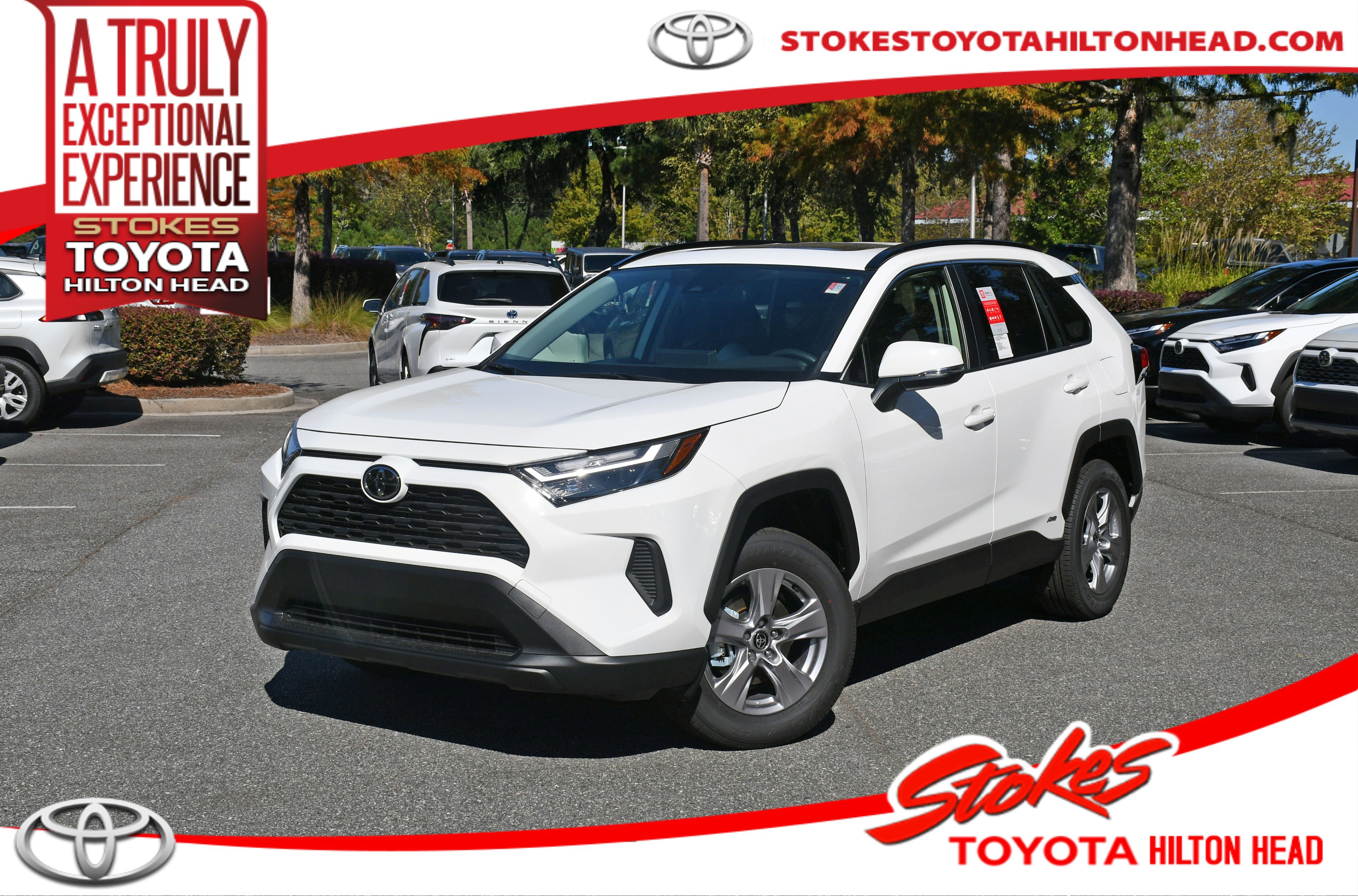 2025 Toyota RAV4 XLE's photo