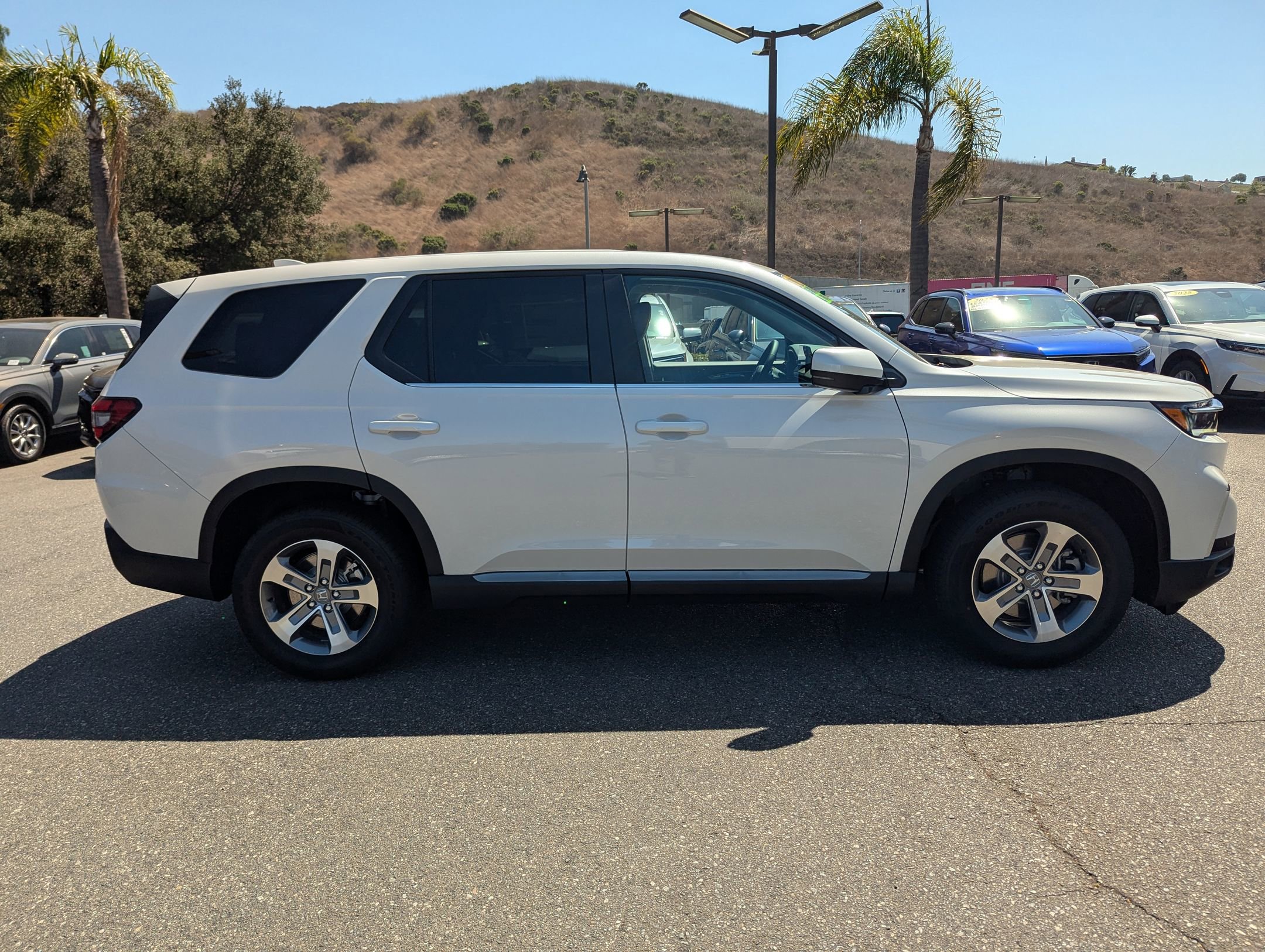2025 Honda Pilot EX-L photo 6