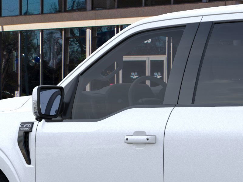 2025 Ford F-150 Platinum photo 20