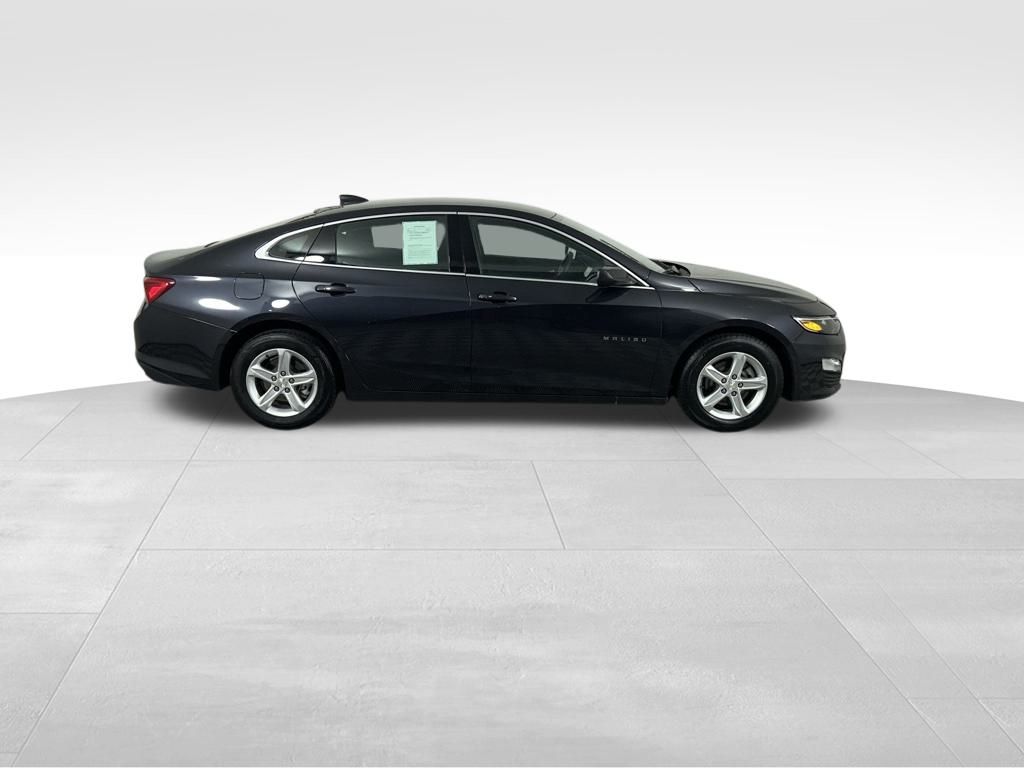 2023 Chevrolet Malibu 1LT photo 3
