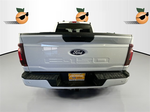 2025 Ford F-150 STX photo 3