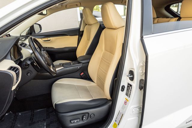 2019 Lexus NX 300h Luxury photo 10