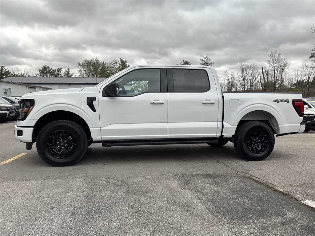 2025 Ford F-150 XLT photo 8