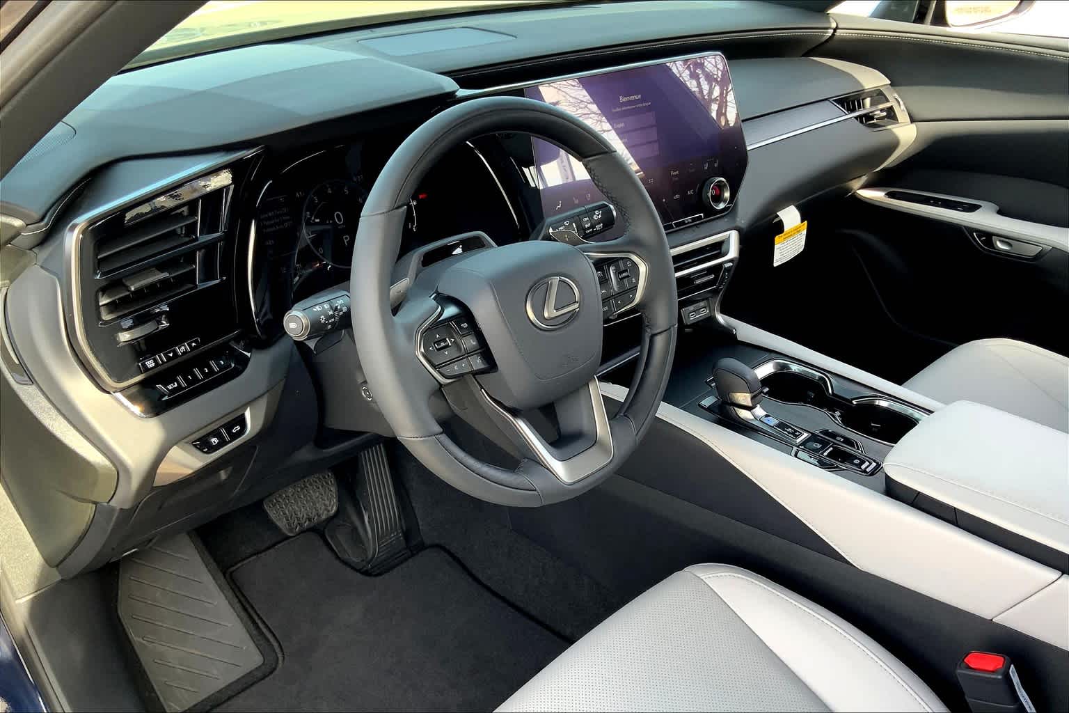 2023 Lexus RX Premium photo 16
